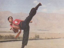 27 Meister Tehrani 1980
